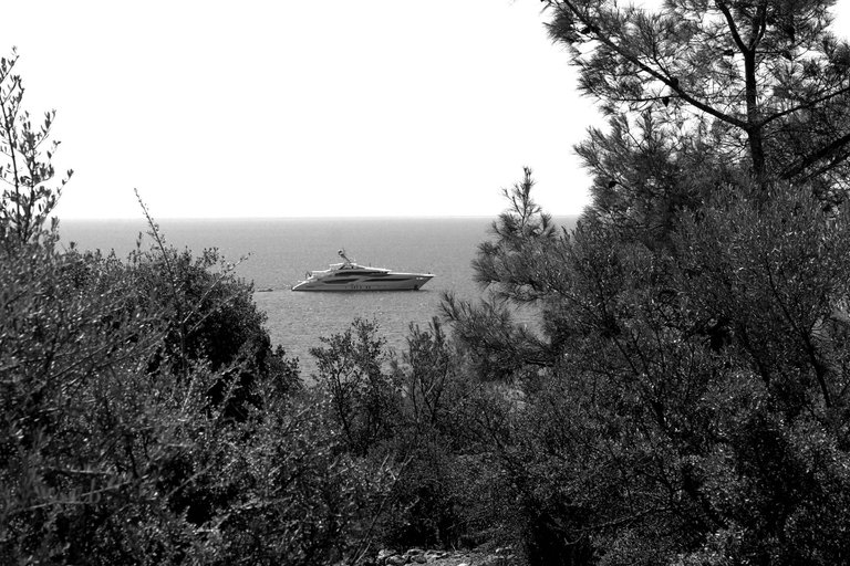 IMG_4178.jpg