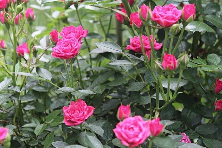 IMG_0104.jpg