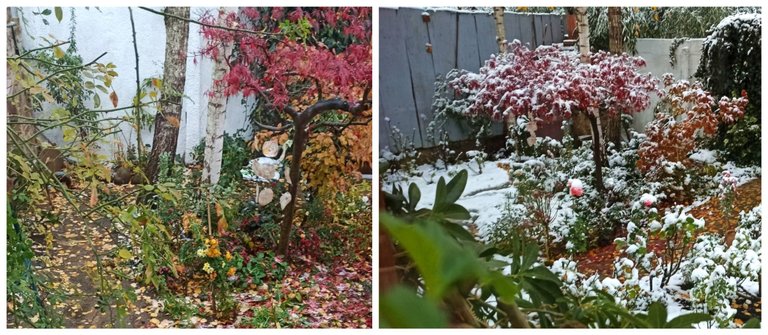 BeFunky-collage.jpg
