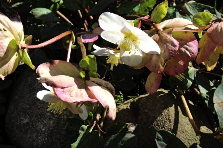 IMG_0163.jpg