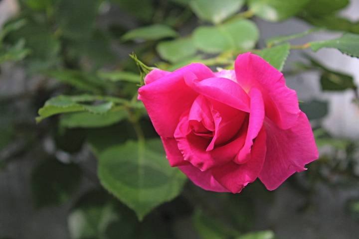 IMG_0099.jpg