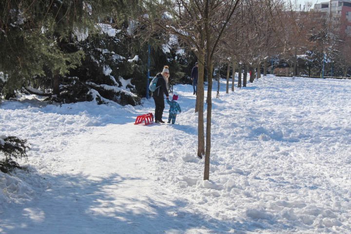 IMG_0167.jpg