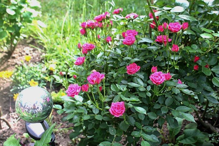 IMG_0103.jpg