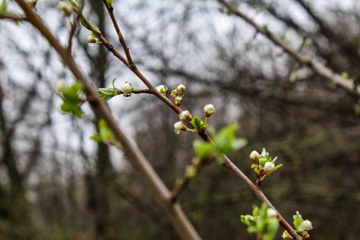 IMG_0045.jpg