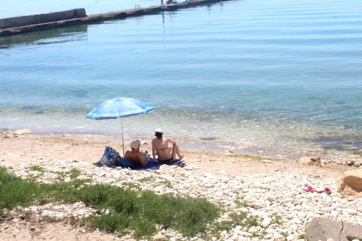 IMG_0575.jpg