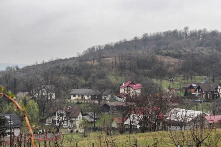 IMG_0031.jpg