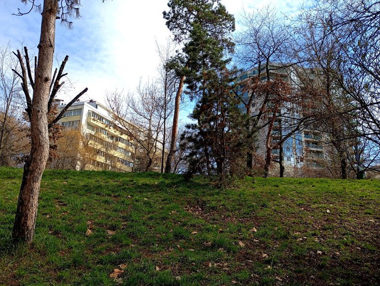 IMG_20250319_133901.jpg