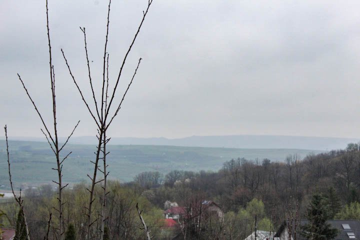 IMG_0033.jpg