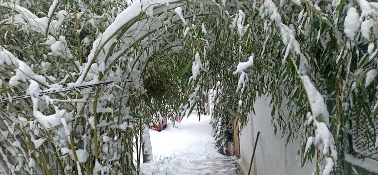 IMG_20240120_095755.jpg