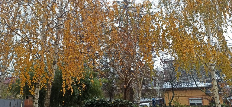 IMG_20231207_105705.jpg