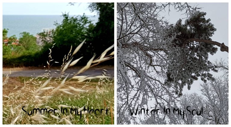BeFunky-collage.1.jpg