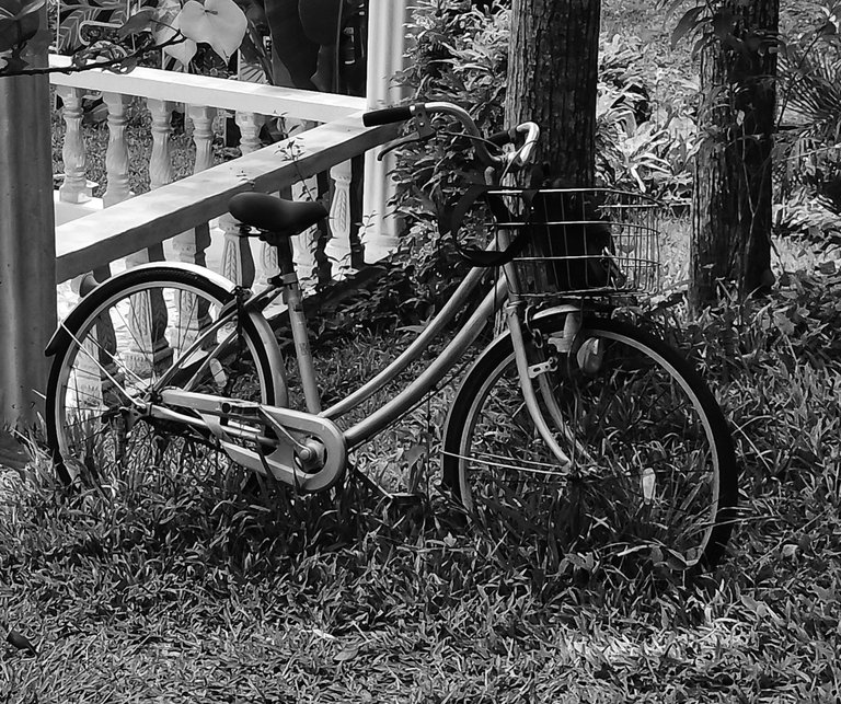 Black and White Photography - Random Shots