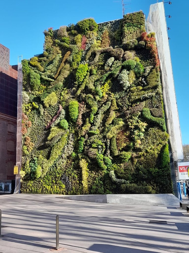 Green Wall.jpeg