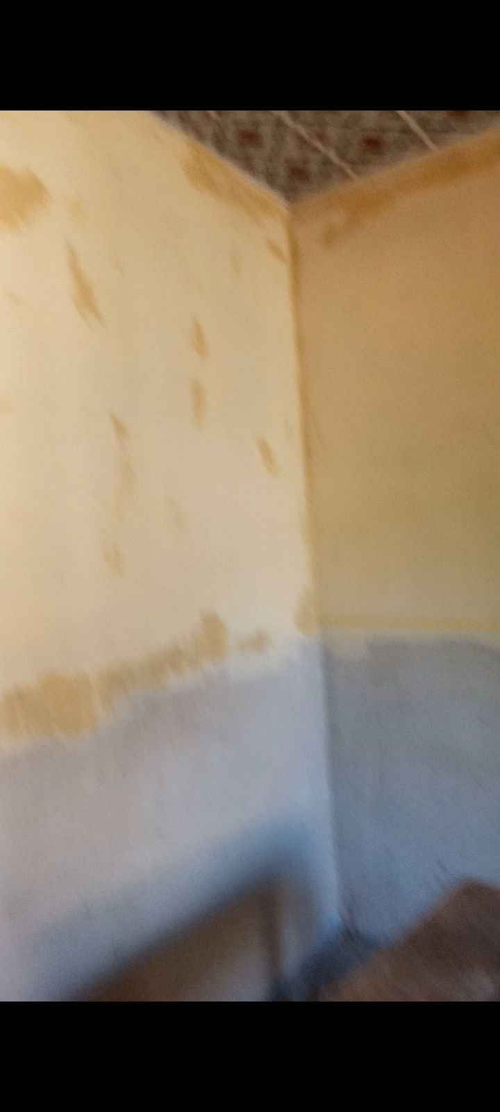 1000428424.jpg