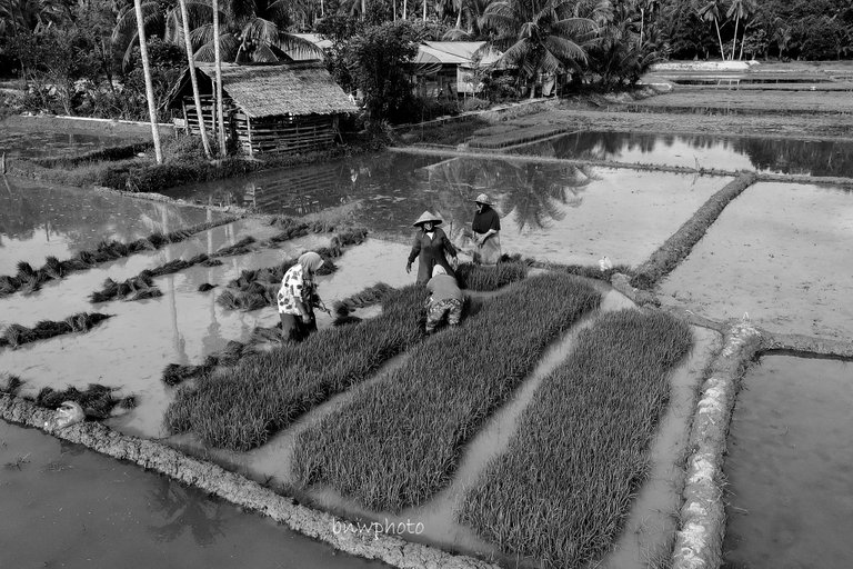 DJI_0632.JPG