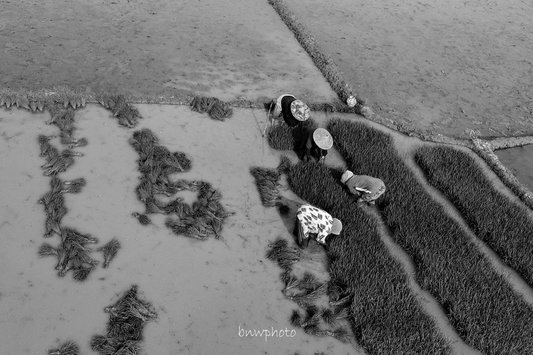 DJI_0639.JPG
