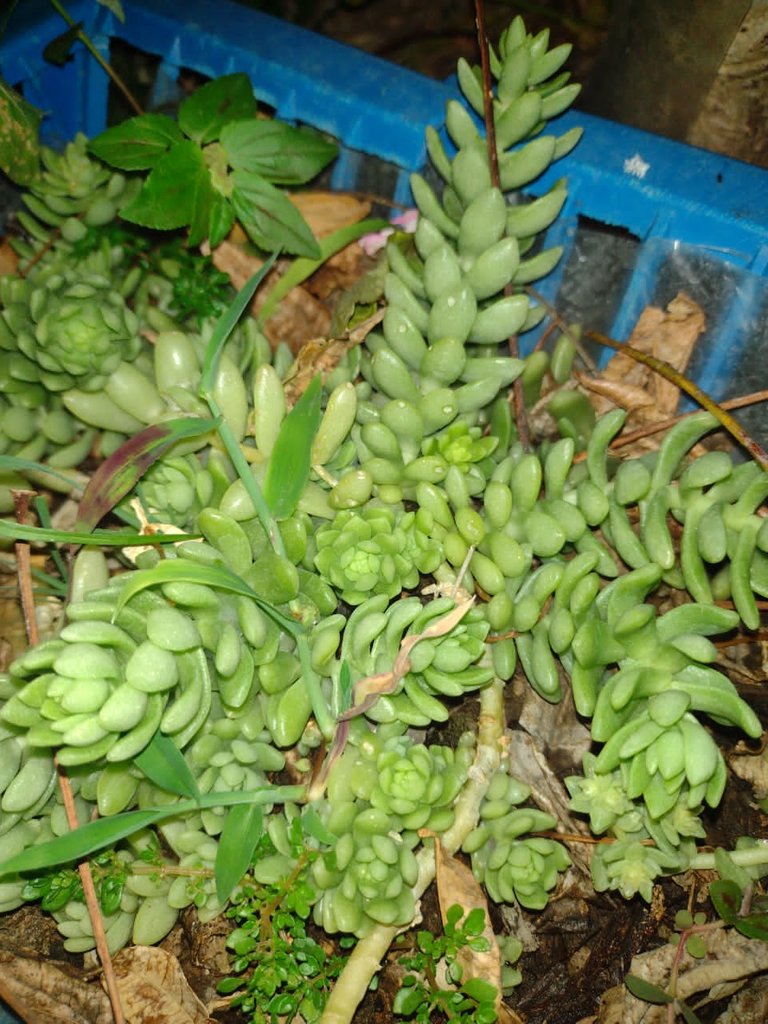 IMG-20230222-WA0021.jpg