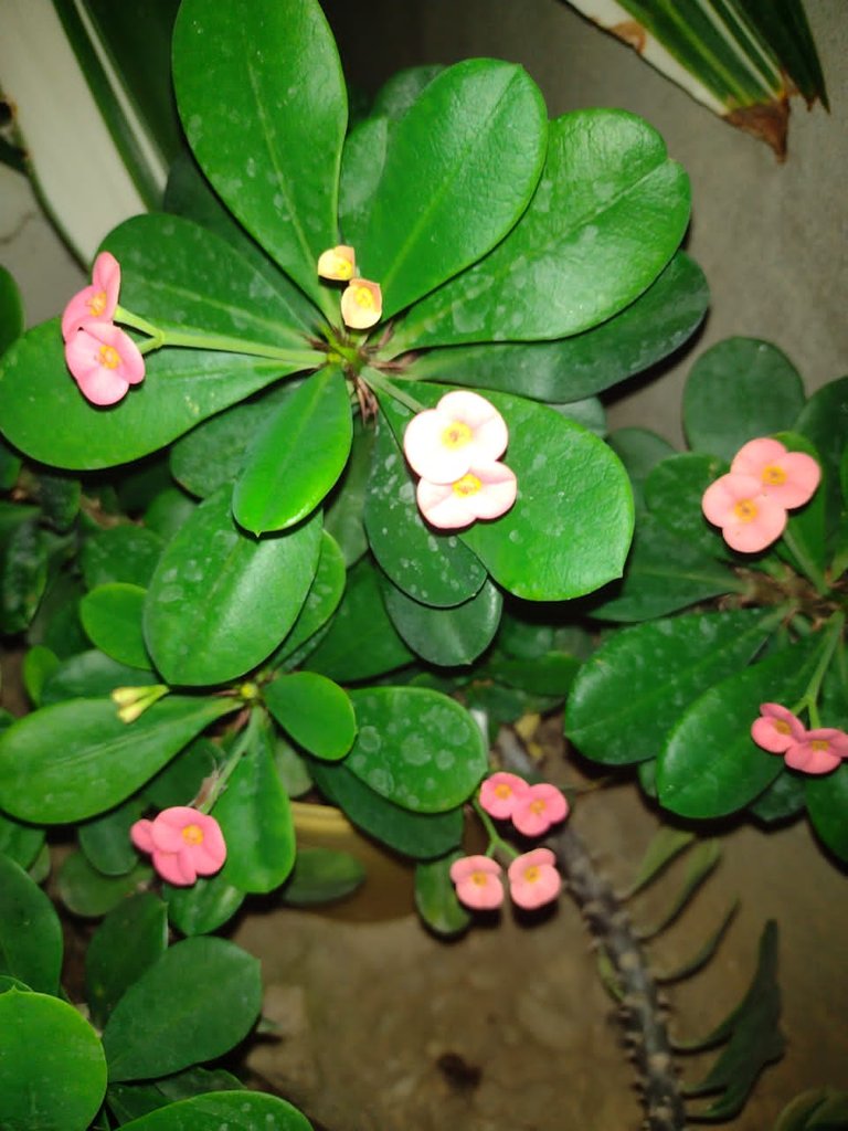 IMG-20230222-WA0014.jpg