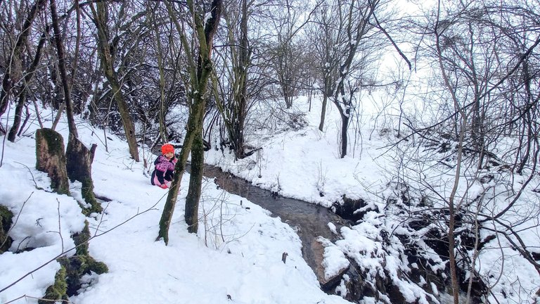 Baby girl throwing snowballs in the seasonal creek that runs in the forest :)