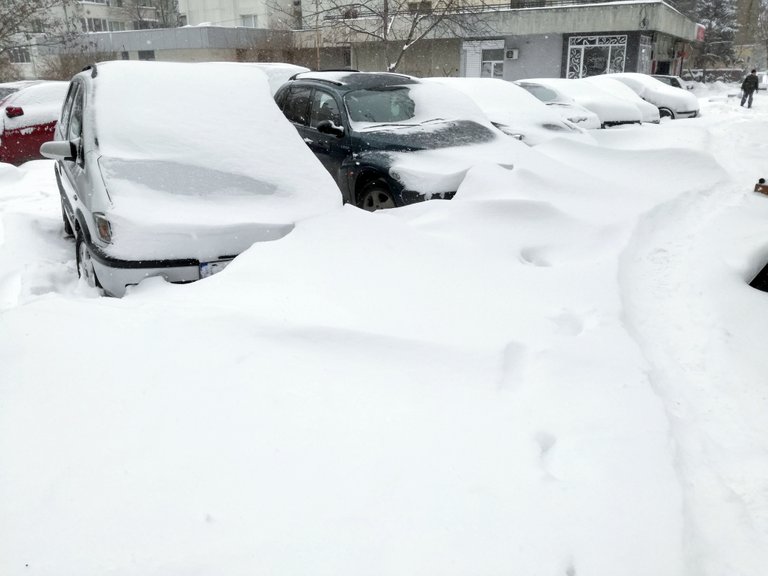 A late February snow storm piles a meter of snow in the city. After 2 weeks of summer weather...