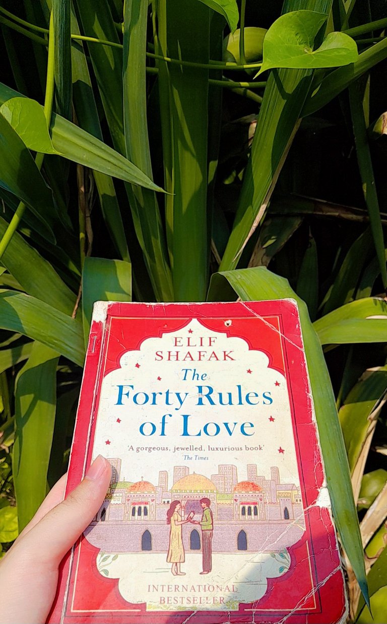 |My Thoughts on the Famous Book: The Forty Rules of Love