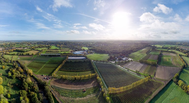 epsom pick your own pano unedited small.png