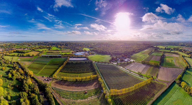 epsom pick your own pano edited small.png