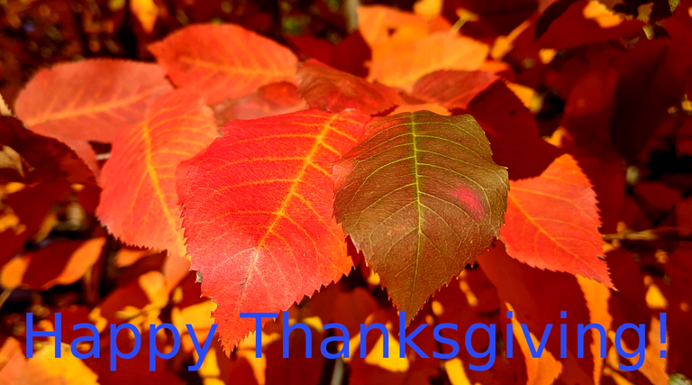 happy_thanksgiving_20221124.png