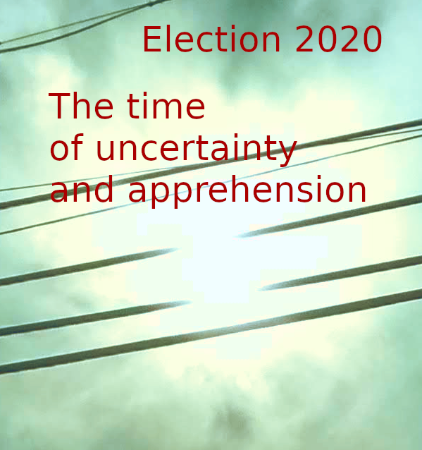 election202020201101.png
