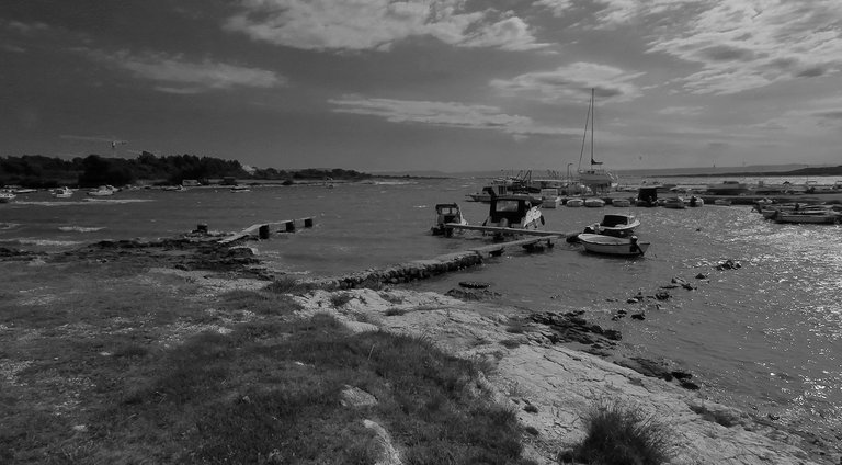 IMG_2544 malo.jpg