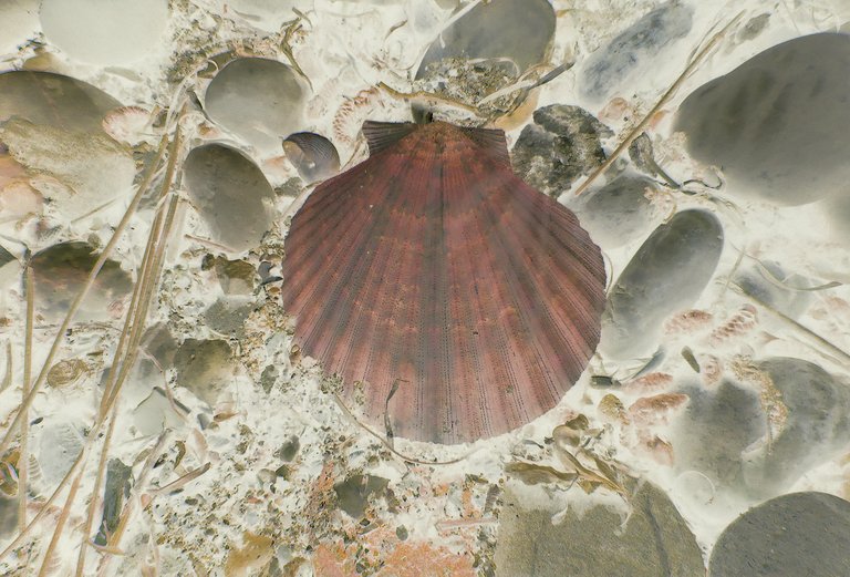 IMG_3565 malo INVERT.jpg