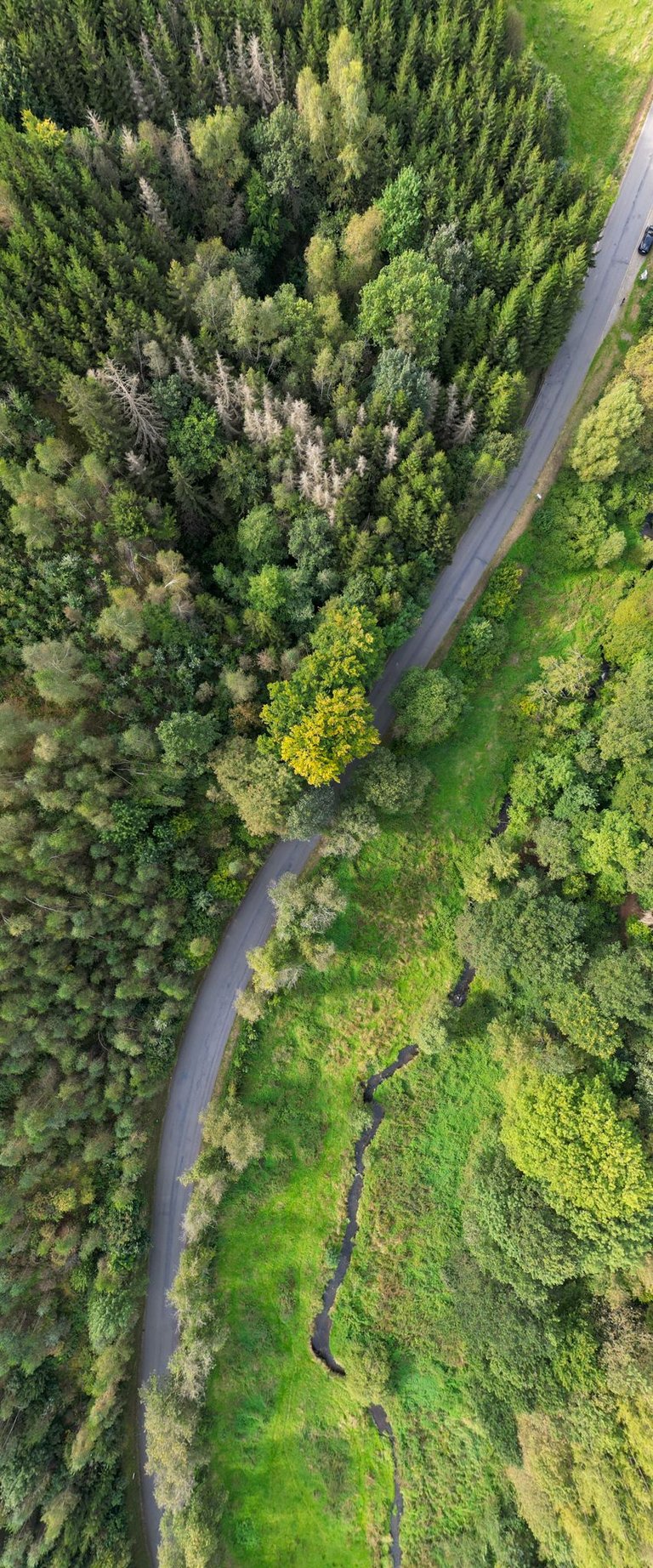 Exploring the Belgian Eifel with My DJI Mini 3 Pro