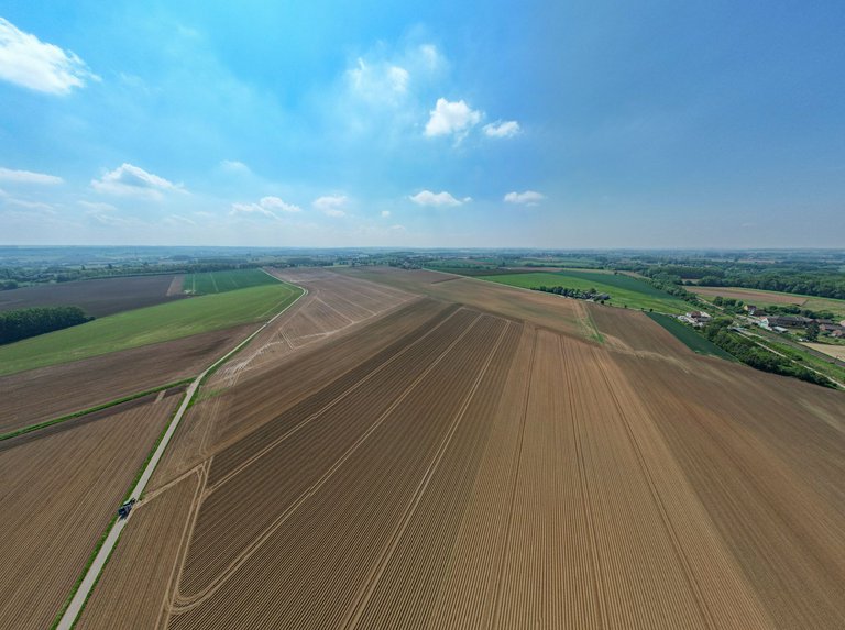 DJI_0427.jpg