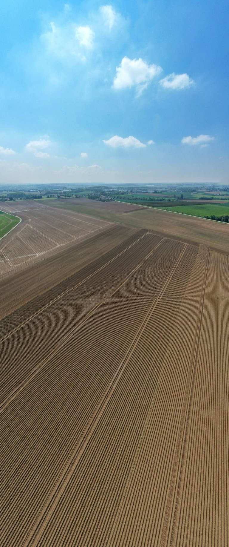 DJI_0426.jpg