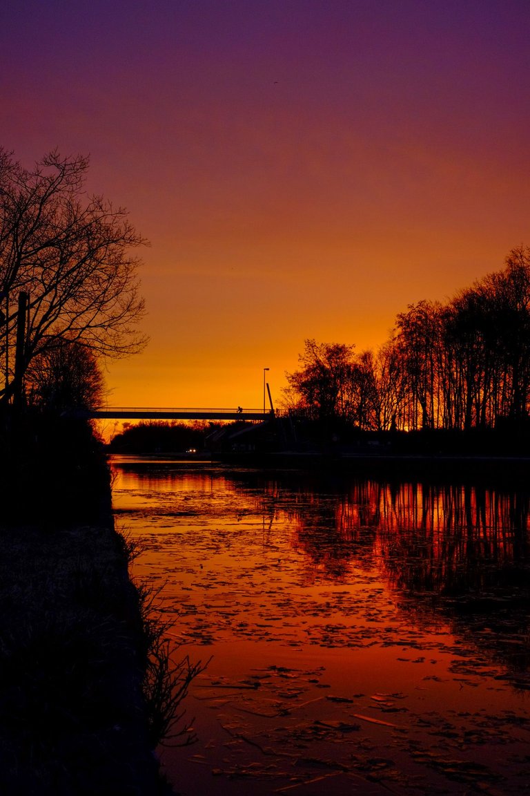 DSCF6854-2.jpg