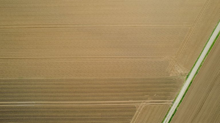 DJI_0441-HDR.jpg