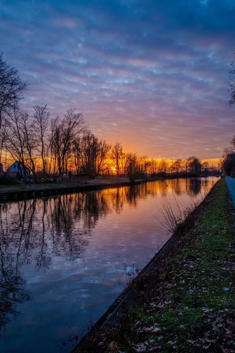 Frozen Toes and Fiery Skies: Why Winter Walks Are Totally Worth It