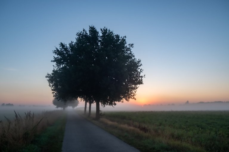 Sunrise, Mist, and a Fujifilm XT-2: Capturing Beauty in the Everyday