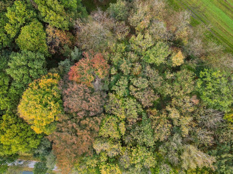 DJI_0151-HDR.jpg