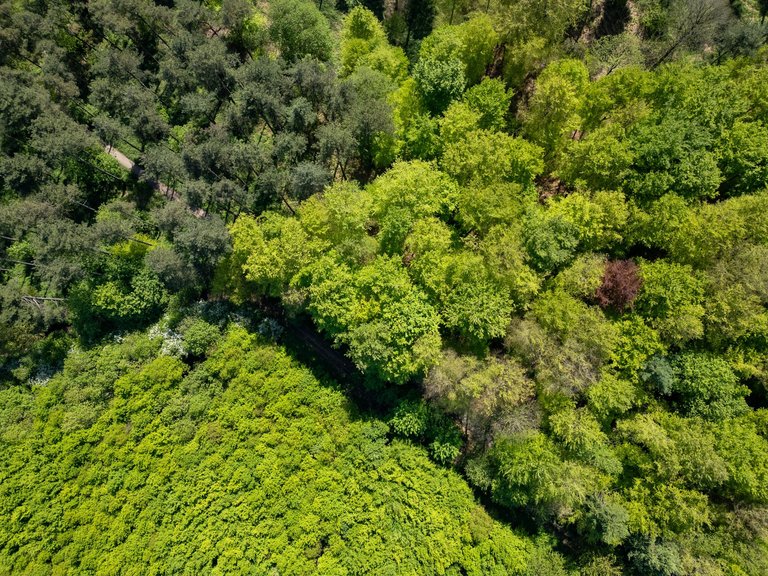 DJI_0286-HDR.jpg