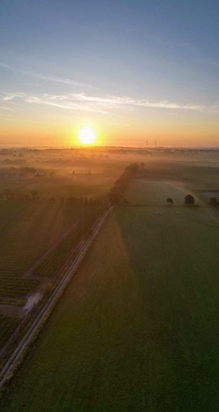 DJI_0609.jpg
