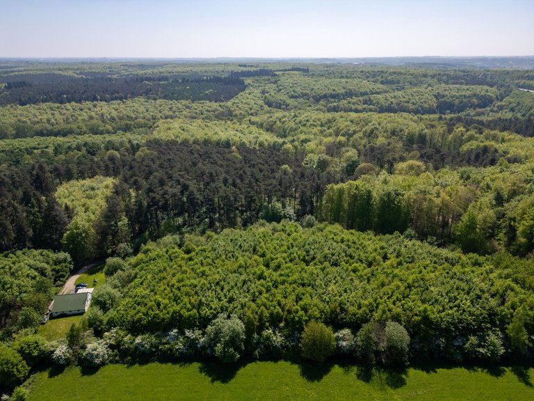 DJI_0264-HDR.jpg