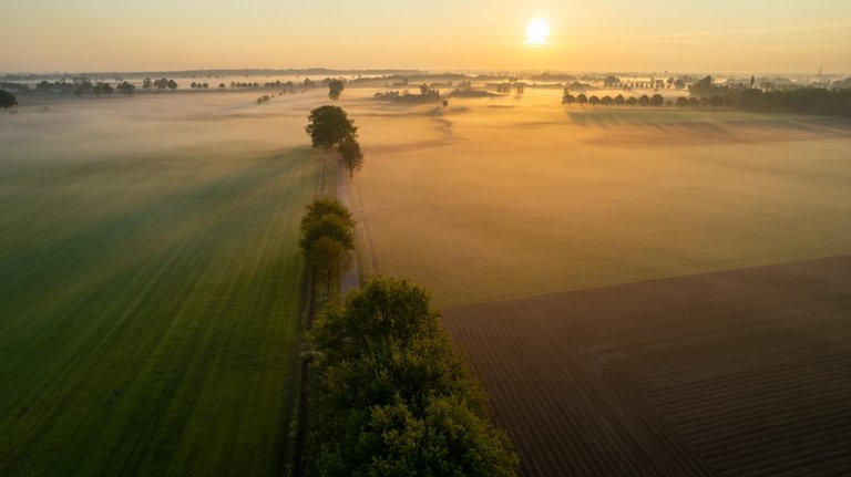 A Mystical Morning Over the Meadows: My Drone Flight with the DJI Air2s