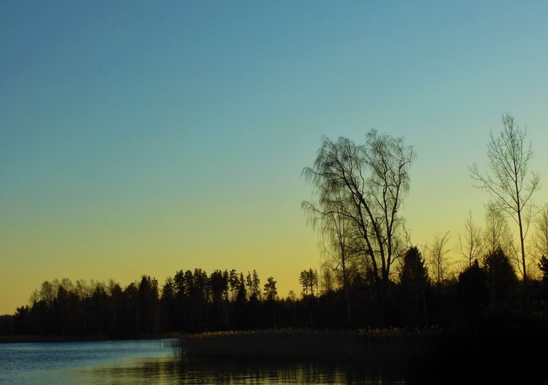 DSCN40490101.jpeg