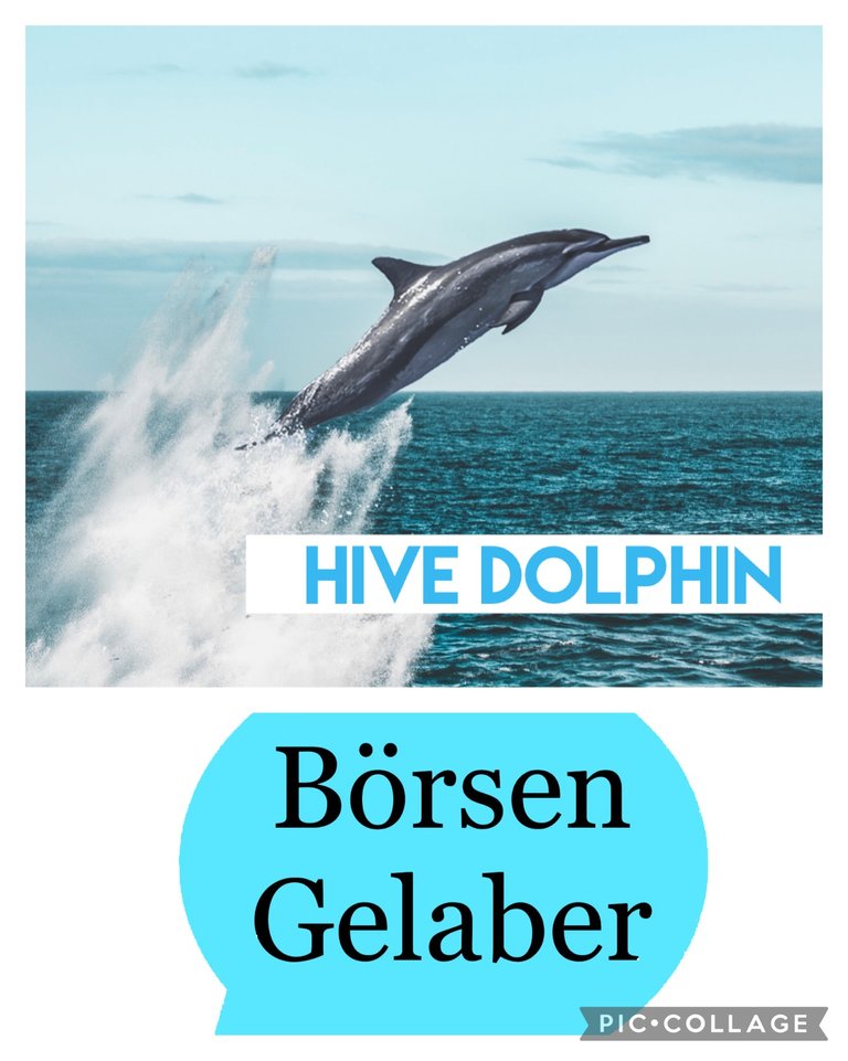 Endlich Hive Delfin / A new Dolphin is born