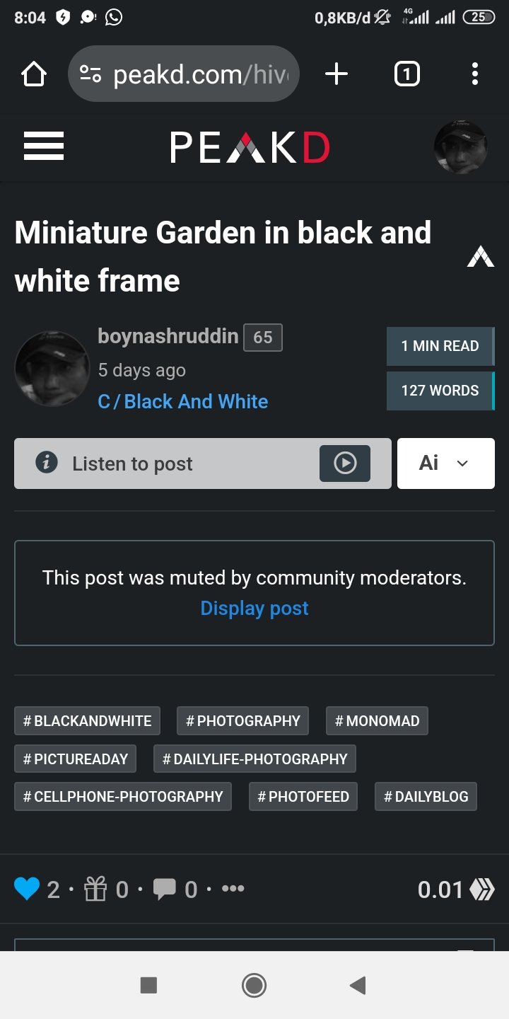 Screenshot_2025-01-16-08-04-51-210_com.android.chrome.jpg