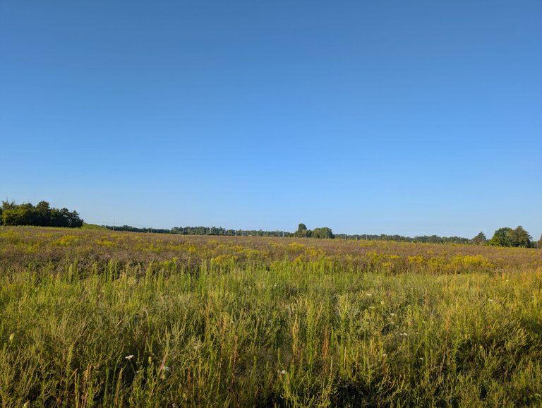 PXL_20250901_122846675.jpg