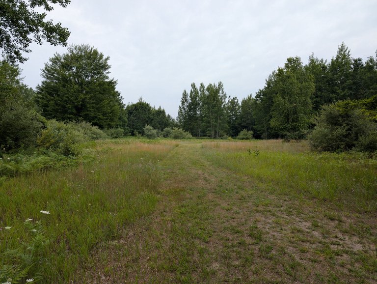 PXL_20250726_123832485.jpg
