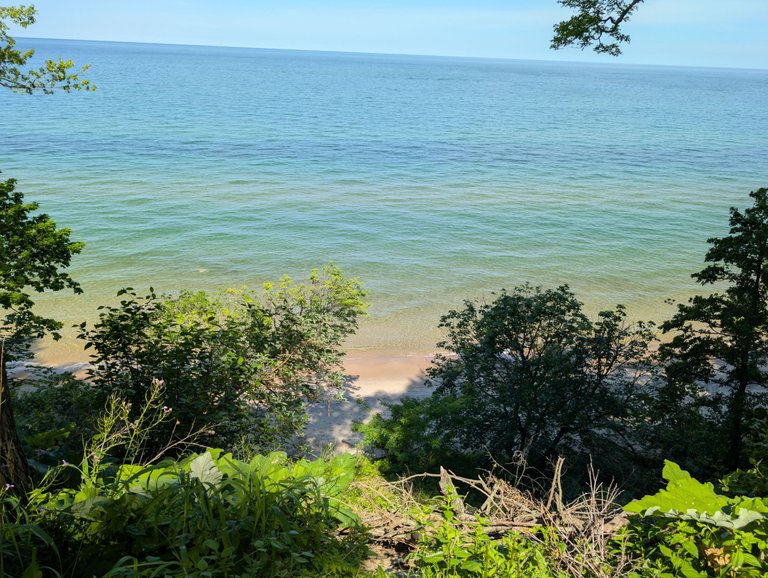 PXL_20250628_151849270.jpg
