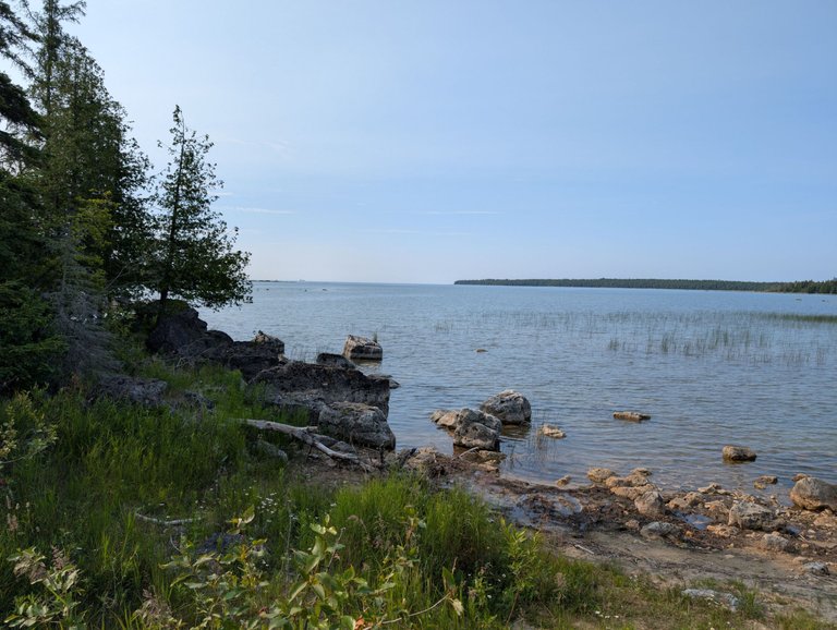 PXL_20250711_133023237.jpg